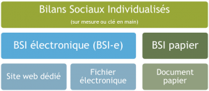 Bilan social individuel